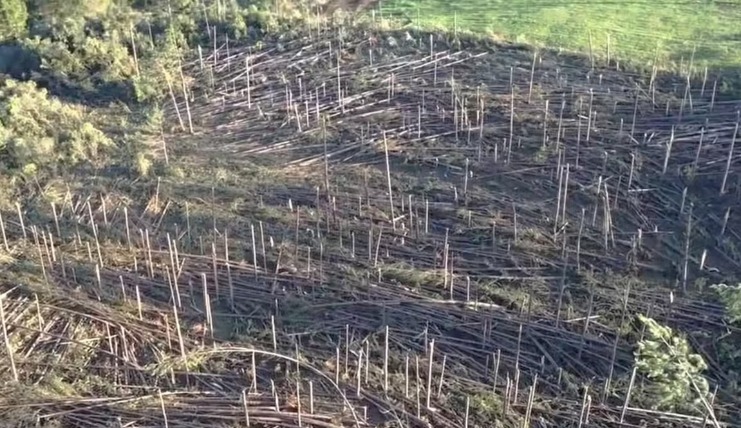 Santa Catarina registra pelo menos seis tornados em um único fim de semana, confirma Defesa Civil