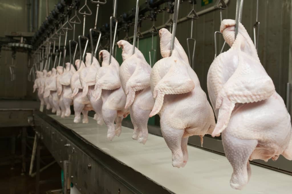 17 países suspendem restrição à carne de frango brasileira (Foto: Reprodução/Internet)