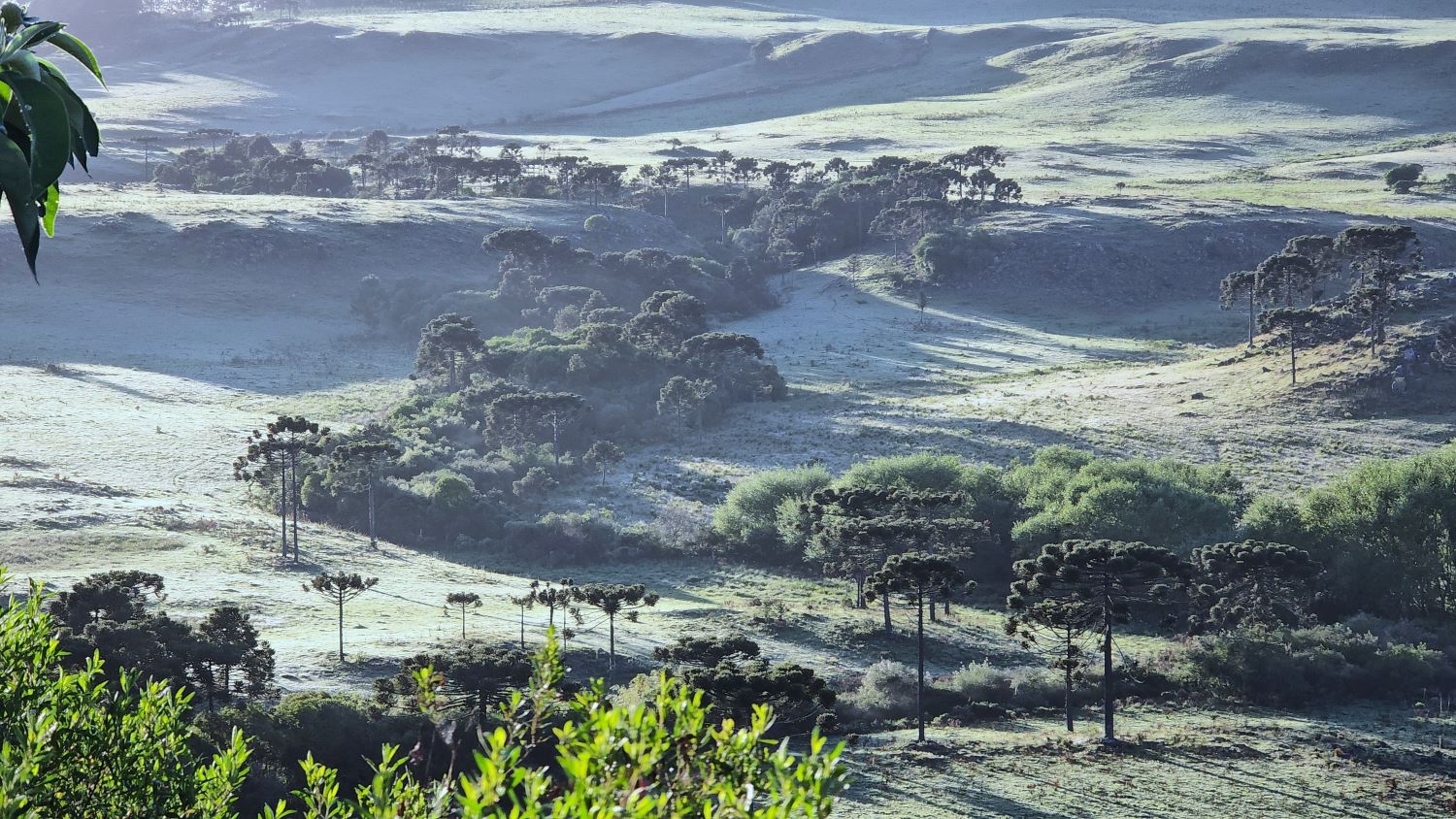 Santa Catarina tem previsão de neve para os próximos dias (Foto: Divulgação)