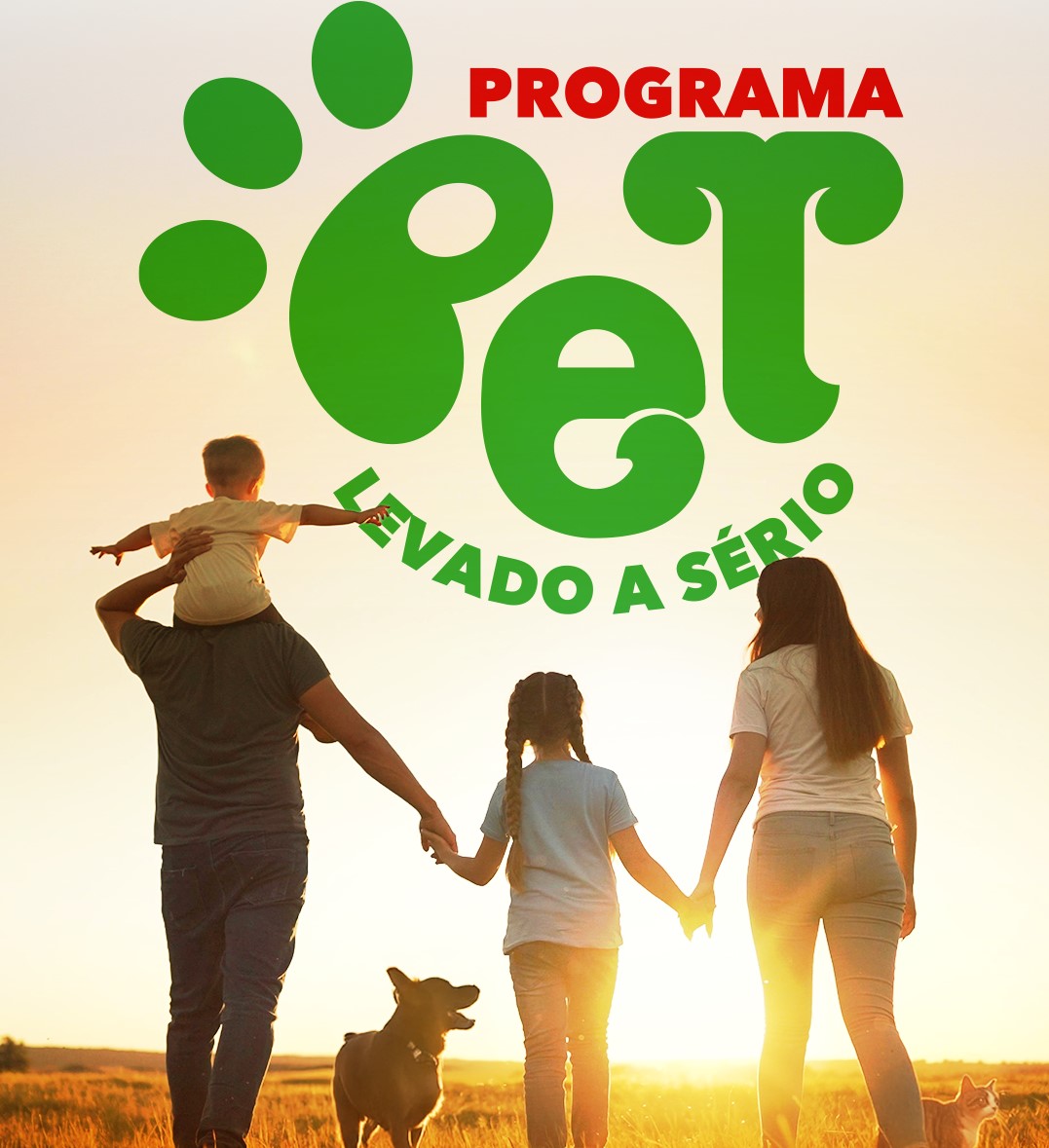 Editais do maior programa de castração animal do Brasil já estão disponíveis em Santa Catarina