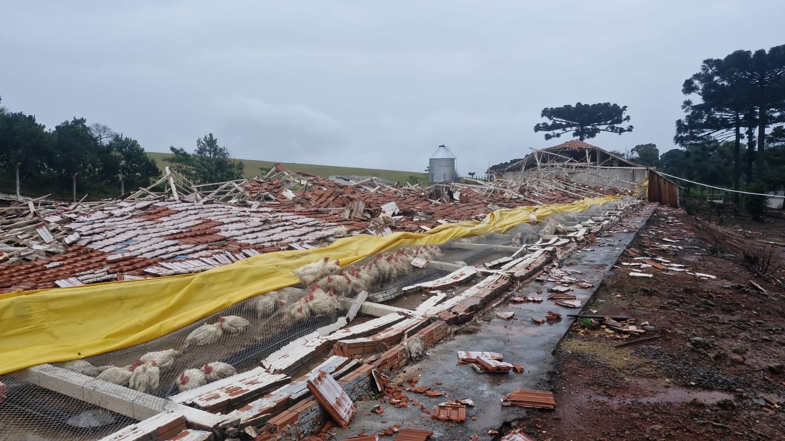 Temporal destrói dois aviários em Chapecó