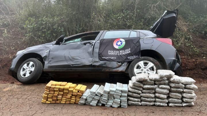 Apreensões de drogas em SC (Foto: Divulgação)