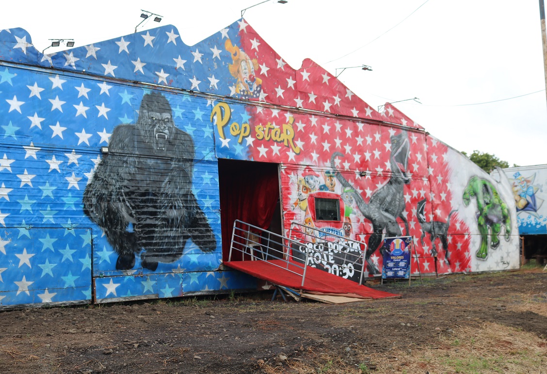 Circo: Quando o show começa, os problemas do público desaparecem