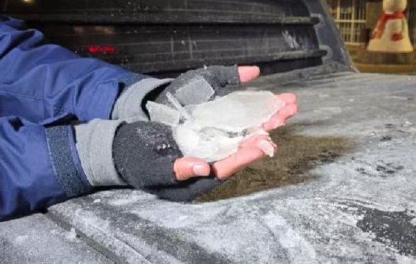 Catarinenses acordam dentro de "freezer"