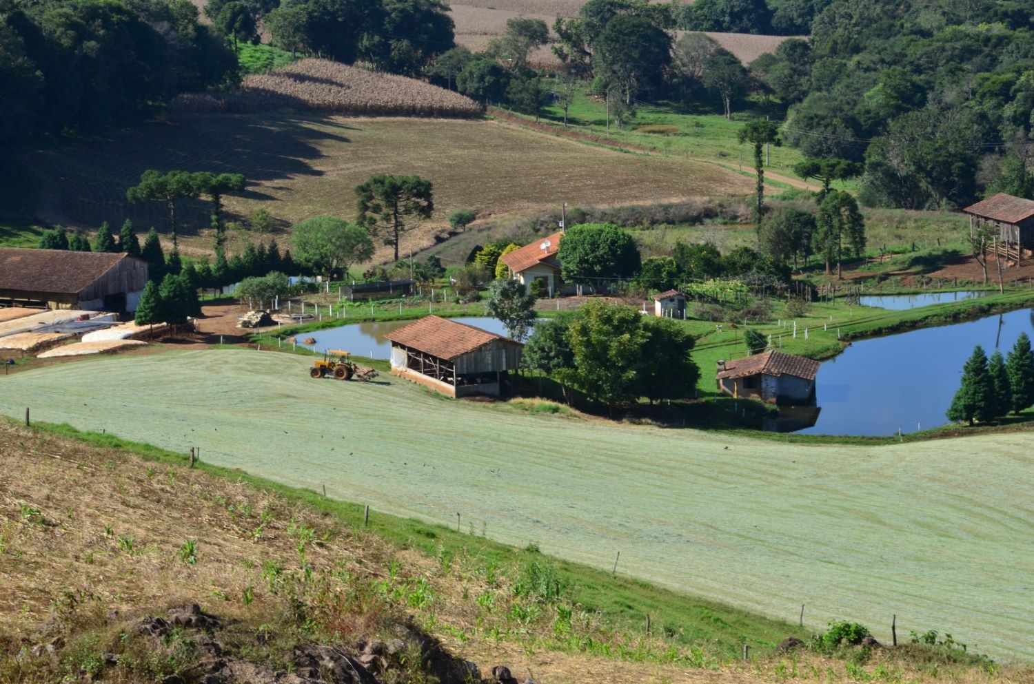Governo lança Coopera Agro SC para ampliar crédito e fortalecer agronegócio catarinense