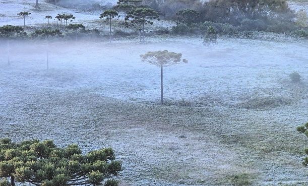 Nova onda de frio atinge Santa Catarina com mínimas negativas, geada e congelamento de pistas