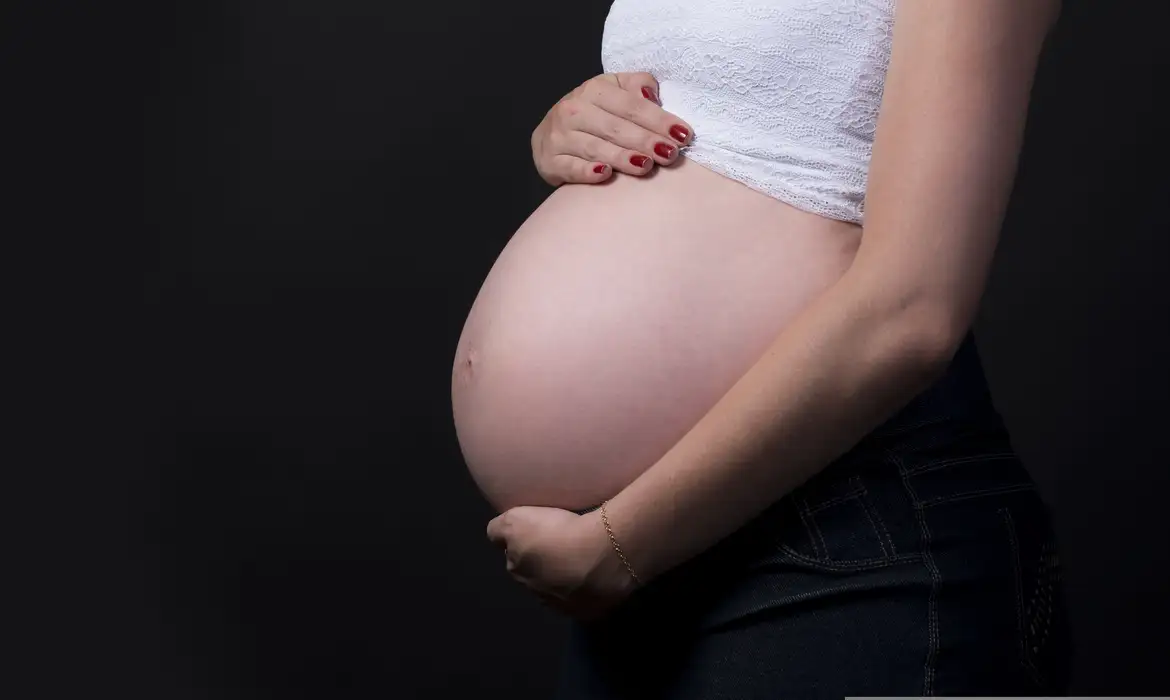 Brasileiras estão tendo menos filhos e adiam maternidade (Foto: Fotorech/Pixabay)