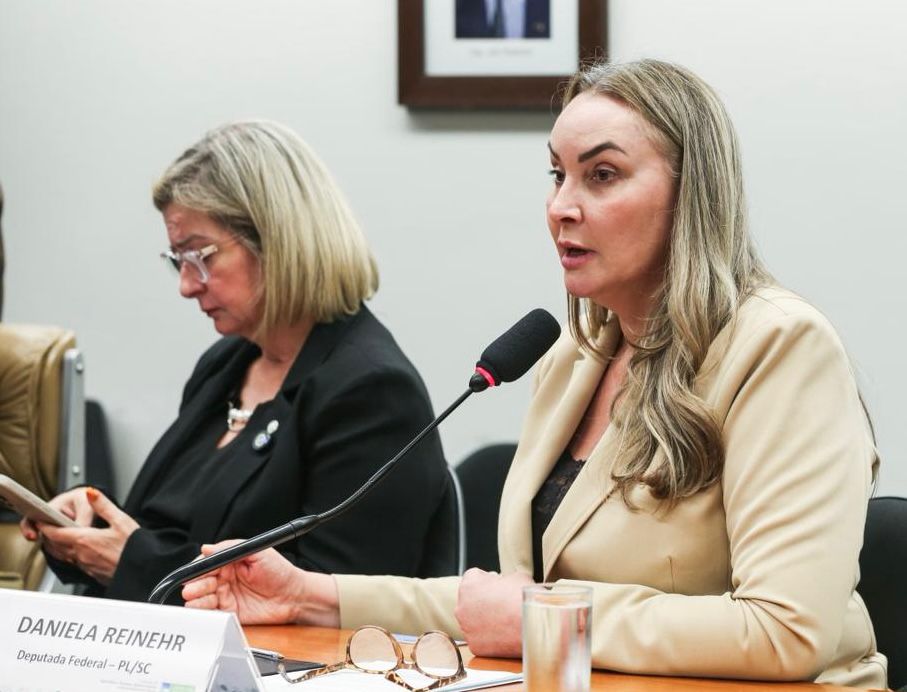Deputada Daniela solicita audiência em ministério para tratar das ...